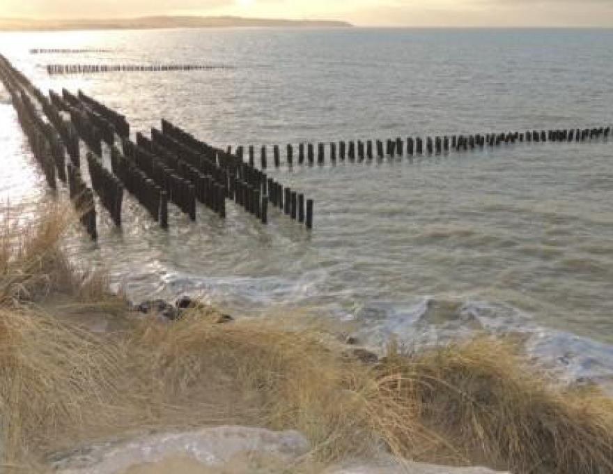 Image de profile deCôte d'Opale