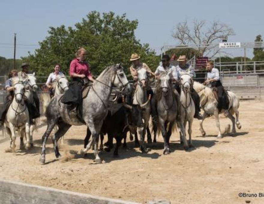 Image de profile deAude Languedoc-Roussillon