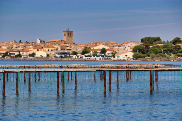 Aude Languedoc-Roussillon - PROPOSITION DE SORTIE A MARSEILLAN